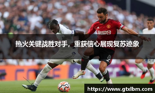 热火关键战胜对手，重获信心展现复苏迹象