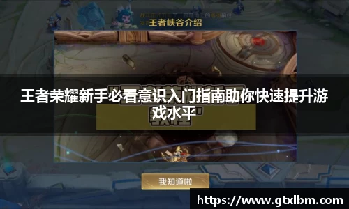 王者荣耀新手必看意识入门指南助你快速提升游戏水平