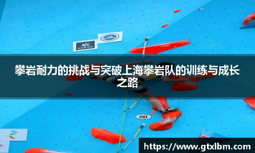 攀岩耐力的挑战与突破上海攀岩队的训练与成长之路