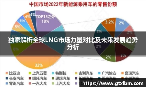 独家解析全球LNG市场力量对比及未来发展趋势分析