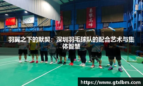 羽翼之下的默契：深圳羽毛球队的配合艺术与集体智慧