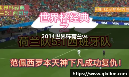 2014世界杯荷兰vs