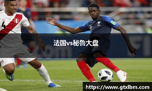 法国vs秘鲁大盘