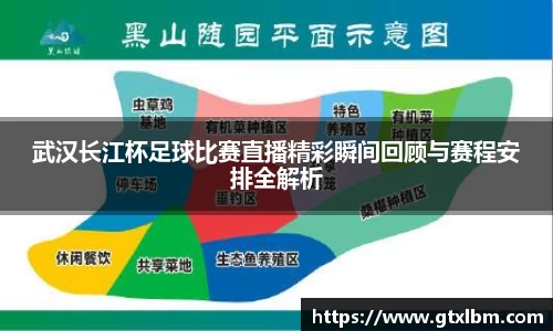 武汉长江杯足球比赛直播精彩瞬间回顾与赛程安排全解析