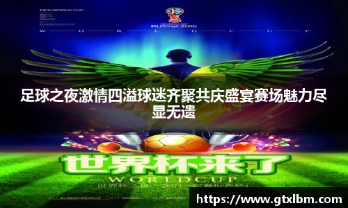 足球之夜激情四溢球迷齐聚共庆盛宴赛场魅力尽显无遗